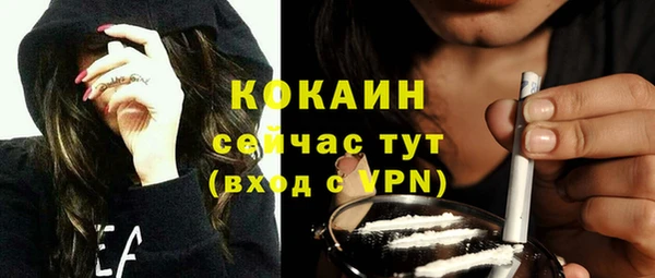 прущие грибы Арсеньев