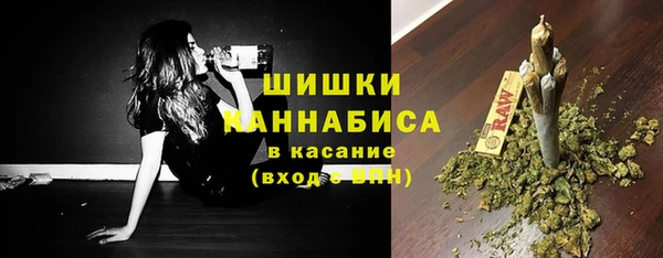 прущие грибы Арсеньев