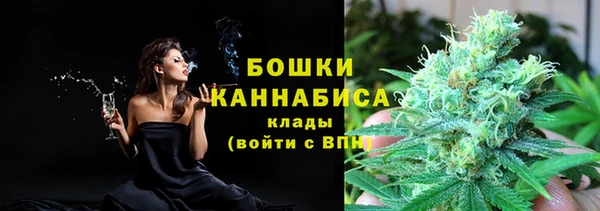 прущие грибы Арсеньев