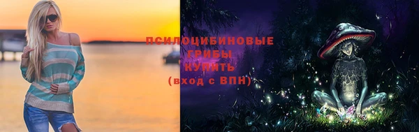 прущие грибы Арсеньев