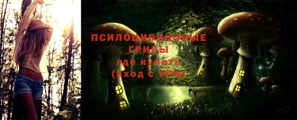 дурь Аркадак